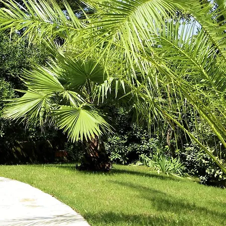 Apartman Dans St Raphael Saint-Raphaël